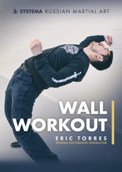 Wall Workout (downloadable)