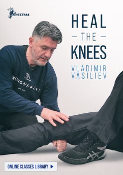 Heal the Knees (downloadable)