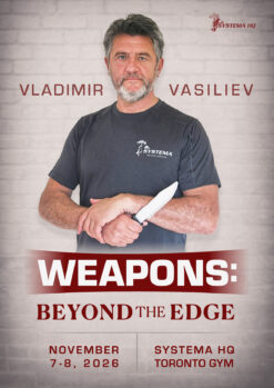 WEAPONS: Beyond the Edge Seminar with Vladimir Vasiliev – November 7-8, 2026