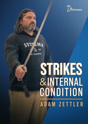 Strikes & Internal Condition (downloadable)